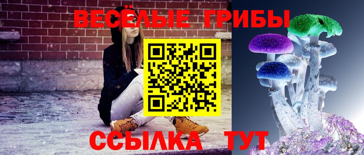 Галлюциногенные грибы Cubensis Анапа