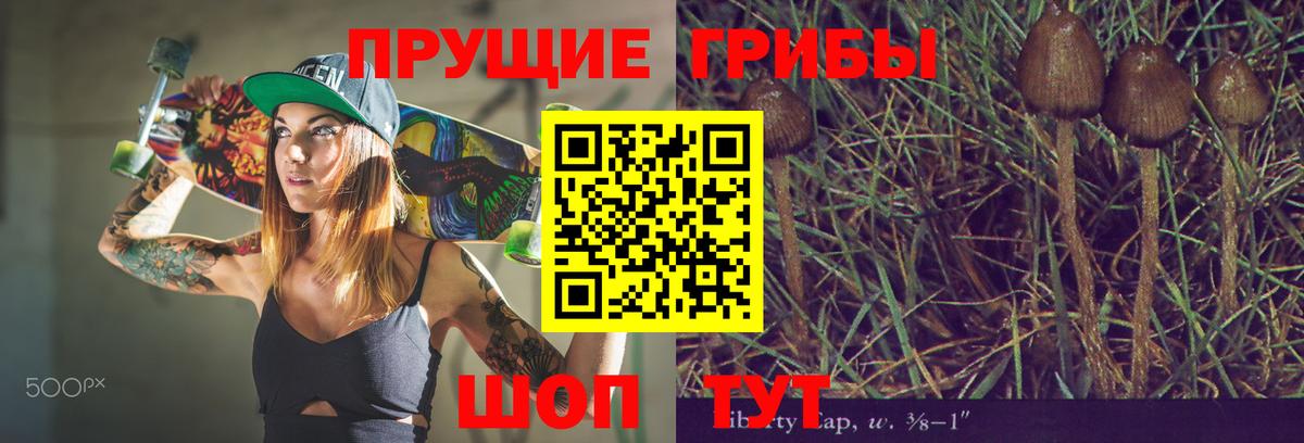 Анапа  наркотики  Вход с VPN  Галлюциногенные грибы GOLDEN TEACHER 